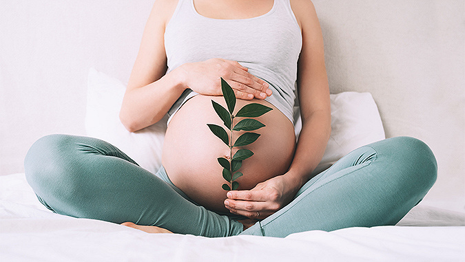 Kobieta w ciąży trzyma liść