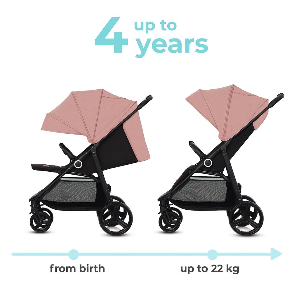 A pushchair for the entire period you'll need one
